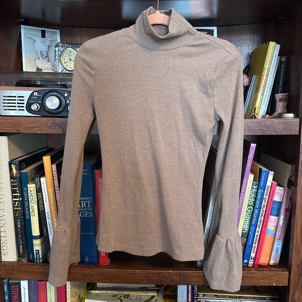 Taupe Turtleneck with Dramatic Bell Sleeves